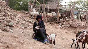 المسلسل والأسلوب الإجرامي الجديد.. الأمم المتحدة والسيناريو المكشوف!!