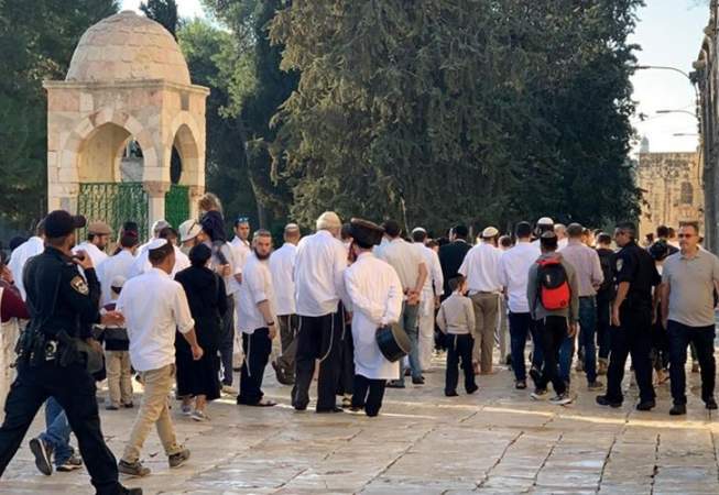 عشرات المستوطنين يقتحمون الأقصى وسلطات الاحتلال تهدم منزلا في اللد بالداخل المحتل