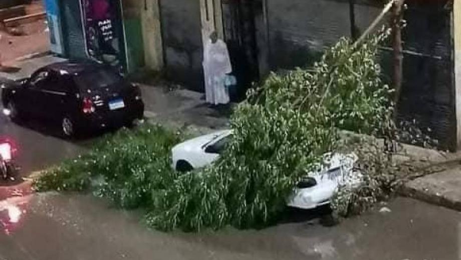 مصرع 3 وإصابة 500 بلدغ عقارب جراء أحوال جوية نادرة جنوبي مصر