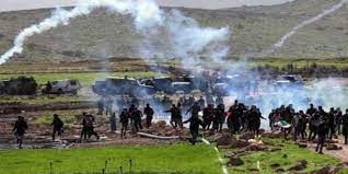 قوات الاحتلال تعتدي على الفلسطينيين بالأغوار وتقتلع أشجار الزيتون ببيت لحم
