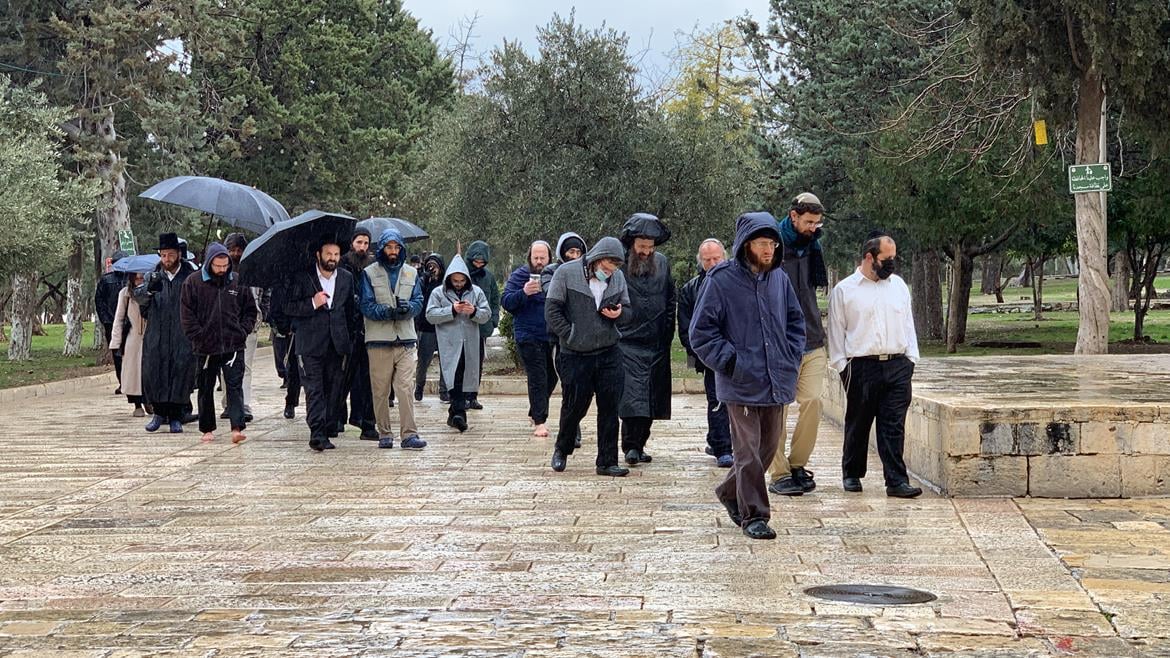 عشرات المستوطنين الصهاينة يقتحمون الأقصى وآخرون يتلفون أشجار الزيتون في سلفيت