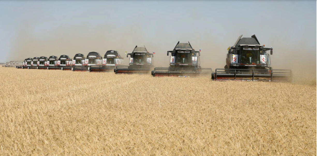 لبنان: احتياطي القمح يكفي لمدة شهر واحد على الأكثر