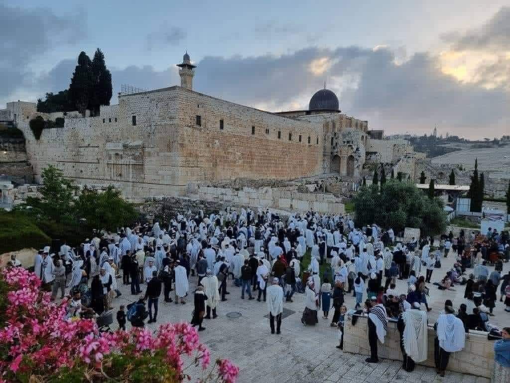 قوات الاحتلال والمستوطنين الصهاينة يقتحمون الأقصى لليوم الرابع على التوالي