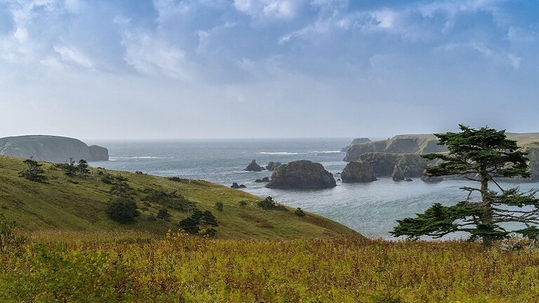 الرئاسة الروسية ترفض وصف خارجية اليابان جزر الكوريل بأنها أرض محتلة