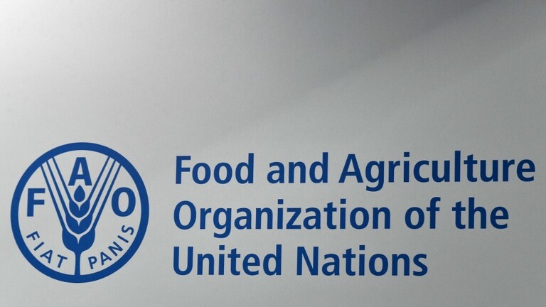 منظمة الفاو : الأسعار العالمية للسلع الغذائية تراجعت في شهر أبريل
