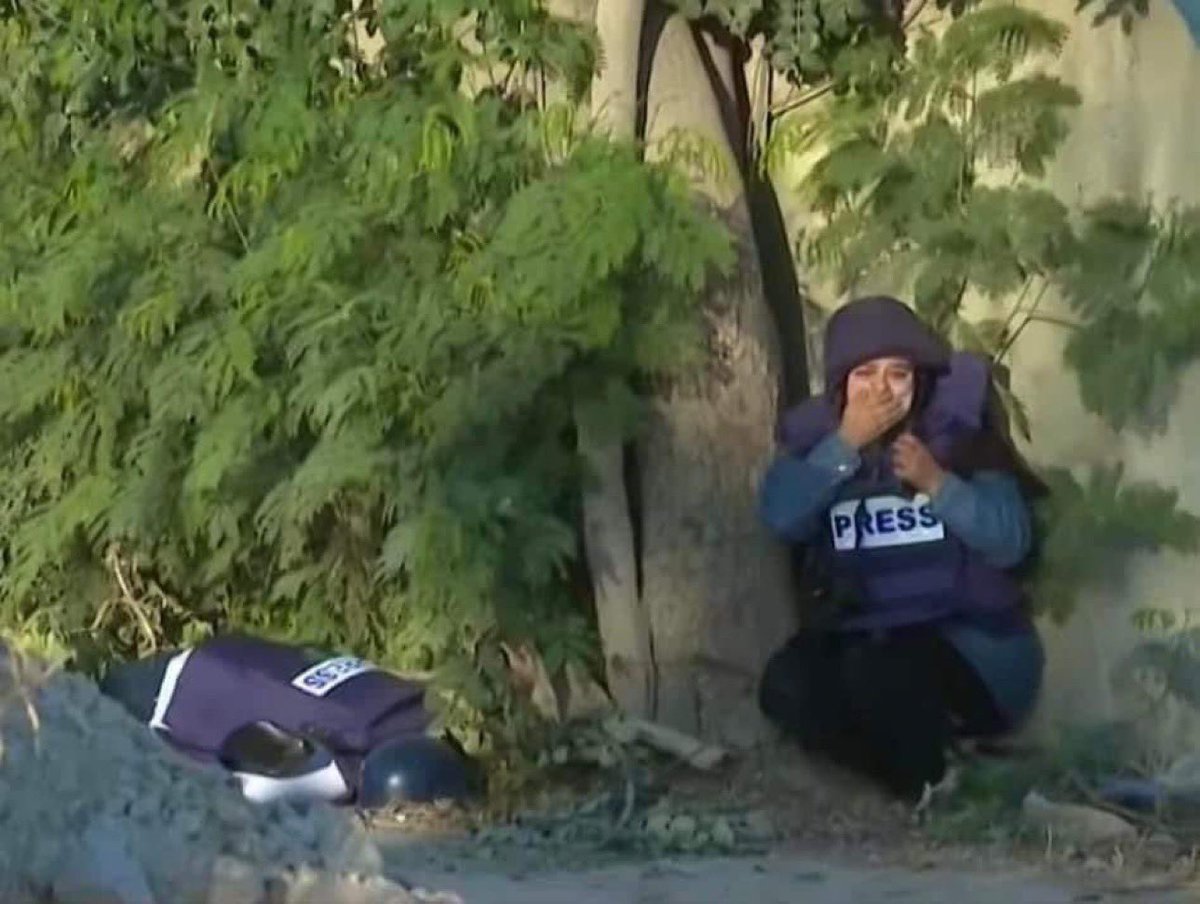 بالفيديو ||مشهد مروع..لحظة اغتيال الصحفية شيرين أبو عاقلة بالفيديو ||مشهد مروع..لحظة اغتيال الصحفية شيرين أبو عاقلة