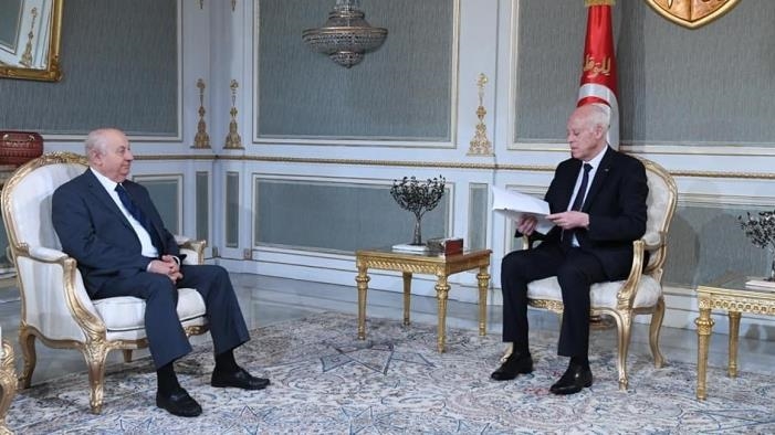 الرئيس التونسي يتسلّم مشروع دستور جديد