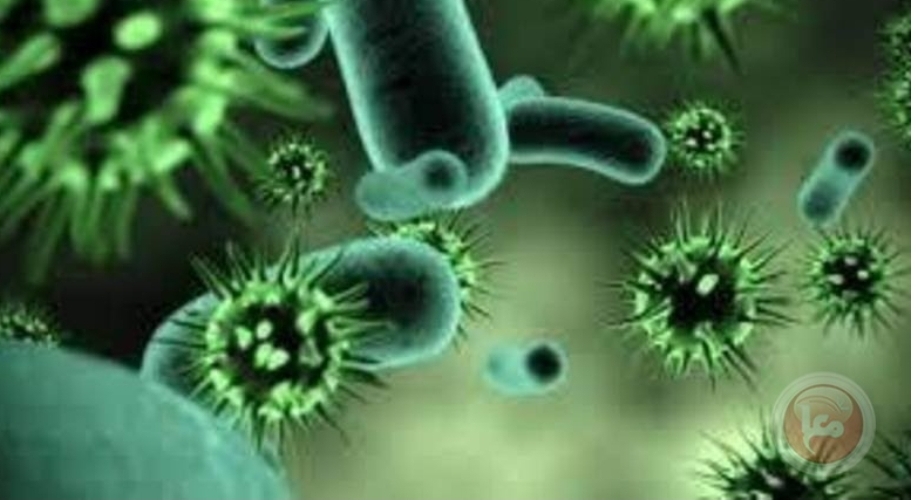 الصحة العالمية تعلن تفشّي فيروس “ماربورغ”في غانا