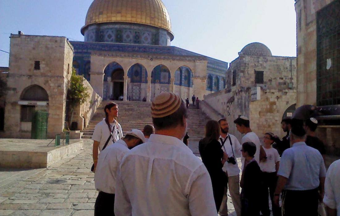 الشيخ صبري: انتهاك مستوطنات صهيونيان لحرمة المسجد الأقصى قمة بالتحدي