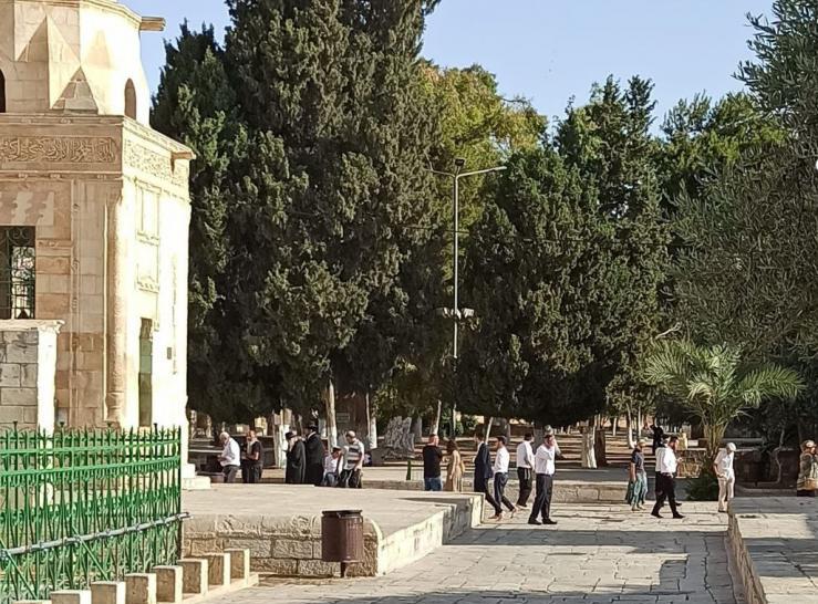 قطعان المستوطنين الصهاينة يجددون اقتحامهم لباحات الأقصى المبارك