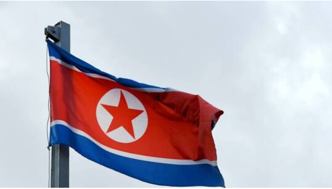 بيونغ يانغ تصف المقررة الخاصة للأمم المتحدة المعنية بحقوق الإنسان بـ”الدمية”