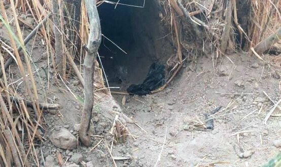 العراق.. الحشد الشعبي يحاصر “دواعش” في مضافات تابعة لهم بصحراء الحضر