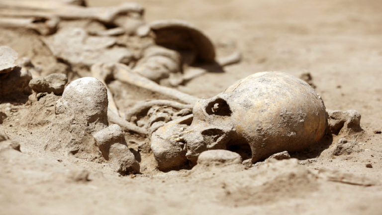 العثور على هيكل بشري في غابة مكسيكية نائية لم يُرَ منذ العصر الجليدي الأخير!