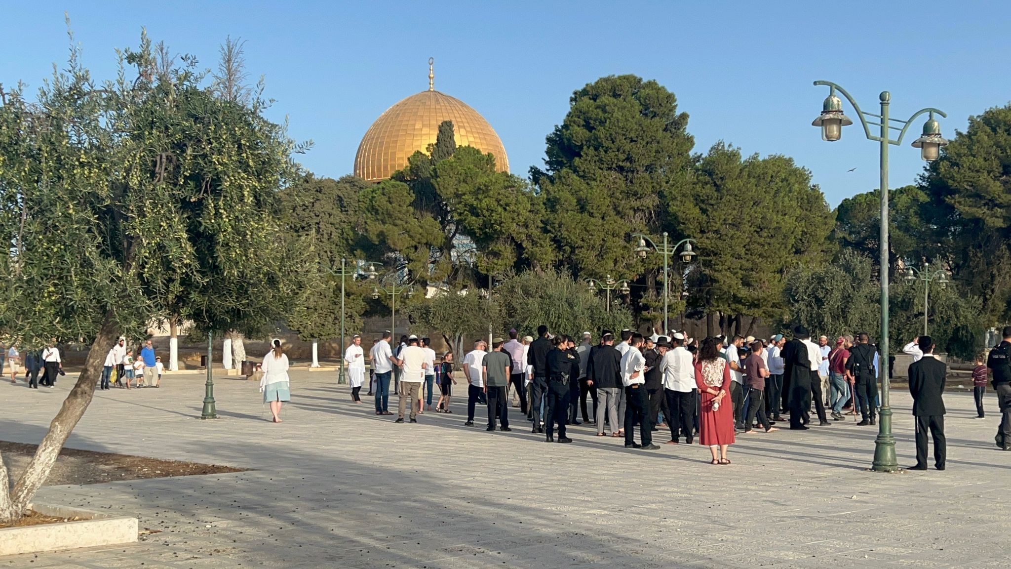 قطعان المستوطنين يجددون اقتحام الأقصى ودعوات حثيثة للتصدي للاقتحامات