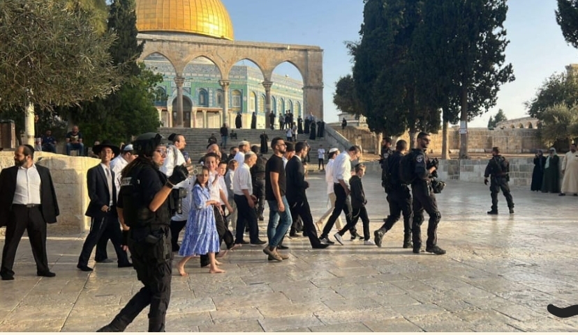 مستوطنون يقتحمون الأقصى واصابة فتى فلسطيني في الخليل