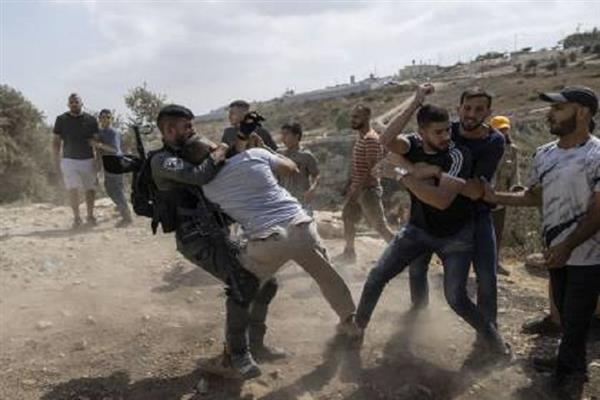 مستوطنون يهاجمون المزارعين جنوب نابلس خلال قطفهم ثمار الزيتون