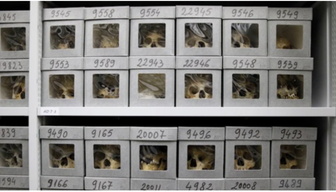 “نيويورك تايمز” تكشف الجماجم التي أعادتها فرنسا للجزائر ليست لمقاتلي المقاومة