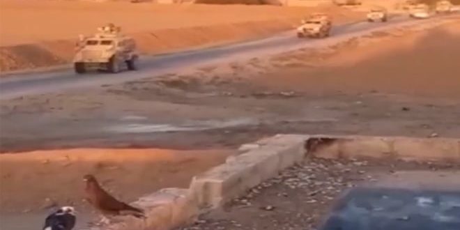 سوريا.. حاجز للجيش يطرد رتلاً للاحتلال الأمريكي في ريف الحسكة