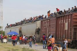 اللاجئون.. ضحايا الأوطان