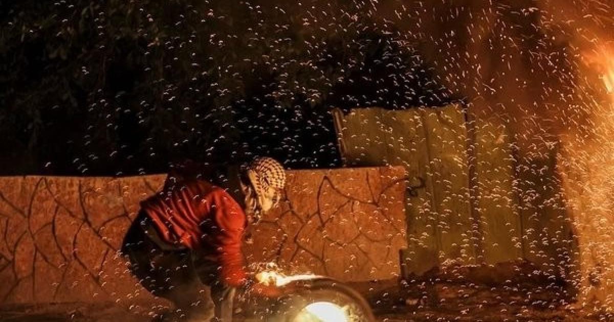 معطى: ثمان عمليات مقاومة ضد قوات العدو الصهيوني في الضفة خلال 24 ساعة