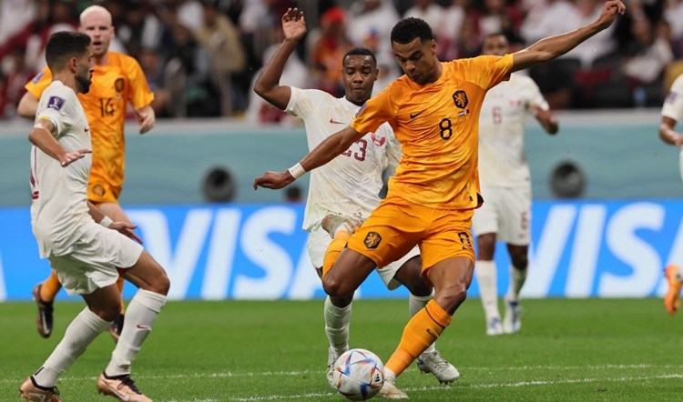 كأس العالم : هولندا تؤكد تأهلها بثنائية في مرمى قطر