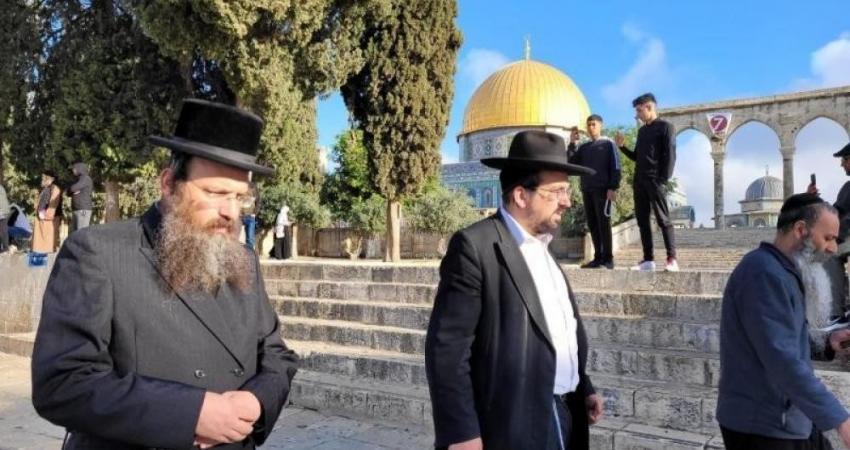 عشرات المستوطنين الصهاينة يدنسون باحات الأقصى المبارك