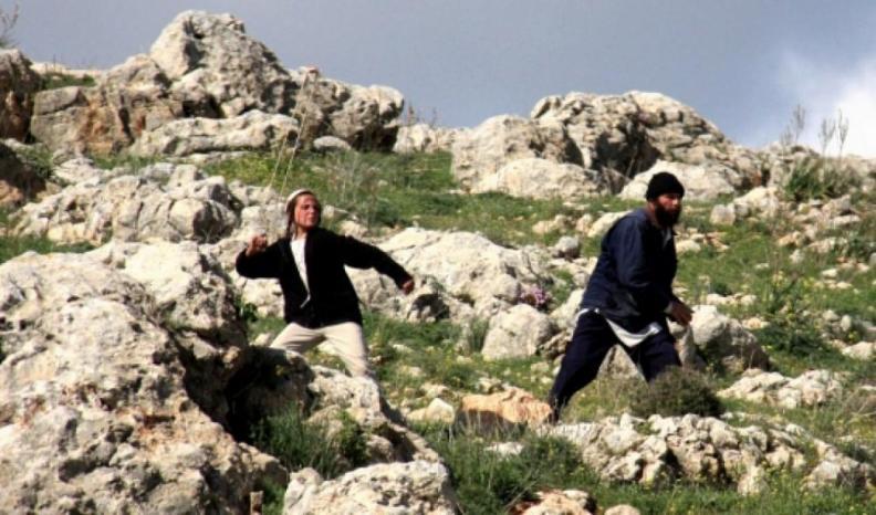  مستوطنون يعتدون على  فلسطينيين ومتضامنين أجانب شمال أريحا