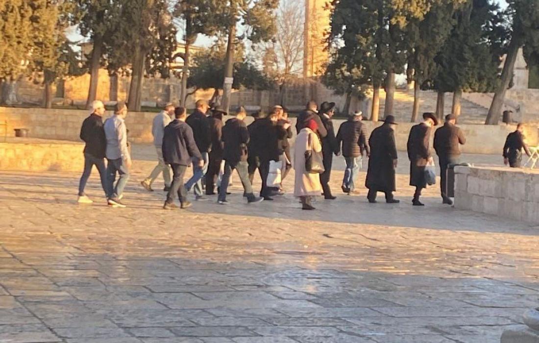 اقتحام جديد لباحات الأقصى المبارك من قبل قطعان المستوطنين الصهاينة