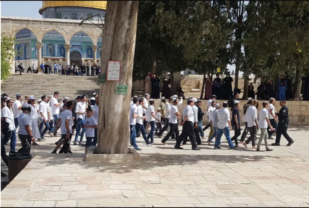 متطرفون يخططون لتنفيذ اقتحام مركزي لباحات الأقصــــى اليوم ودعوات للمقدسيين لصدهم