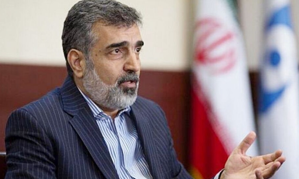 كمالوندي: ايران لم تقم بتخصيب اليورانيوم فوق 60 بالمائة