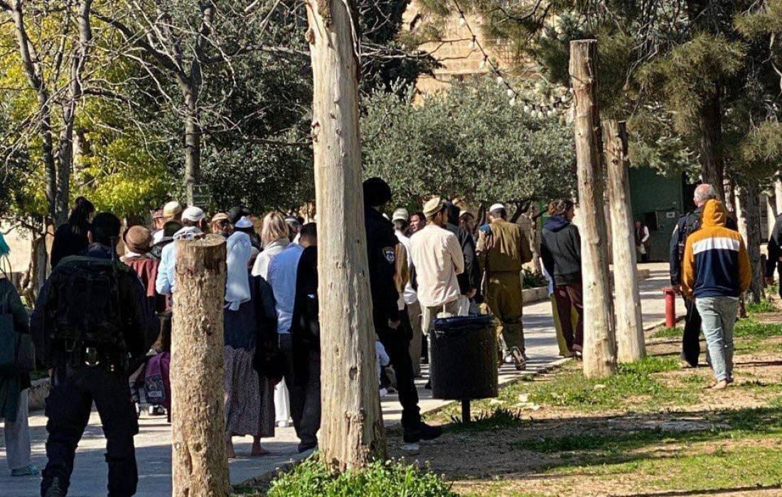 قطعان الصهاينة يؤدون صلوات تلمودية خلال اقتحامهم للمسجد الأقصى