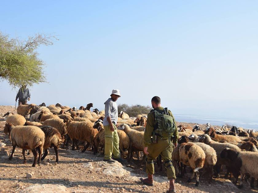 إصابة فلسطيني في اعتداء لمستوطنين على رعاة أغنام فلسطينيين في الضفة المحتلة