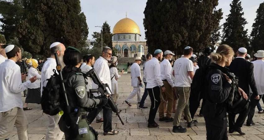 اقتحام الأقصى من قبل المئات من قطعان الصهاينة بحماية مشددة من قوات العدو