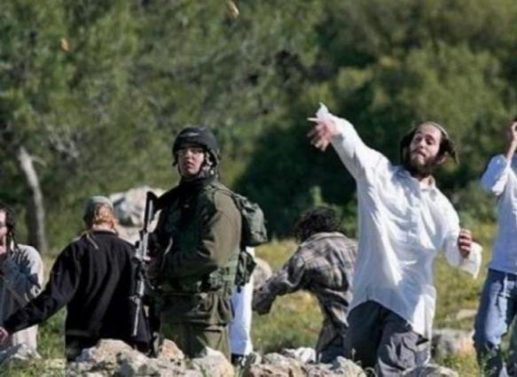 إصابة مواطنين فلسطينيين باعتداء للمستوطنين على رعاة الماشية في الأغوار