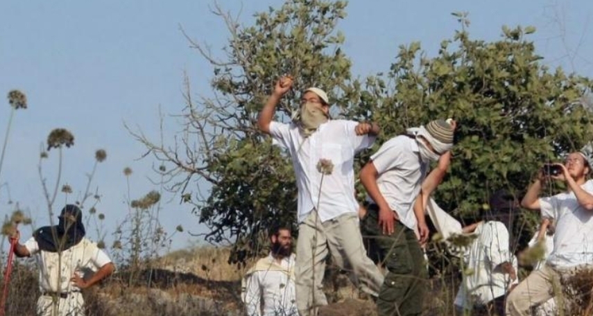 إصابة فلسطيني برصاص مستوطن بنابلس