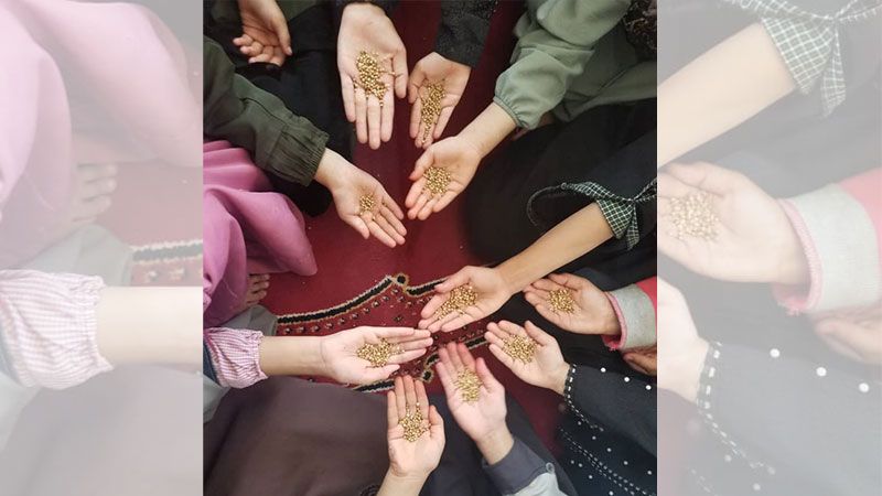 الزراعة في اليمن: ثقافة تولد في الصيف الزراعة في اليمن: ثقافة تولد في الصيف