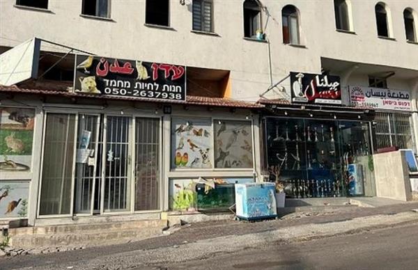 إضراب عام في الداخل الفلسطيني المحتل احتجاجا على العنف والجريمة