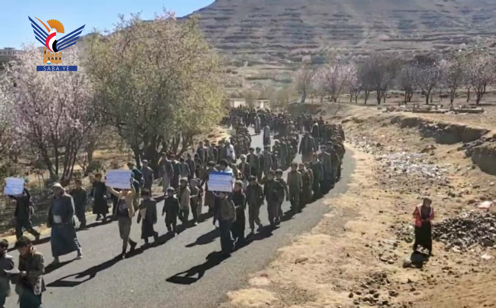 مسيرات ووقفات بالحيمة الداخلية تضامناً مع غزة 