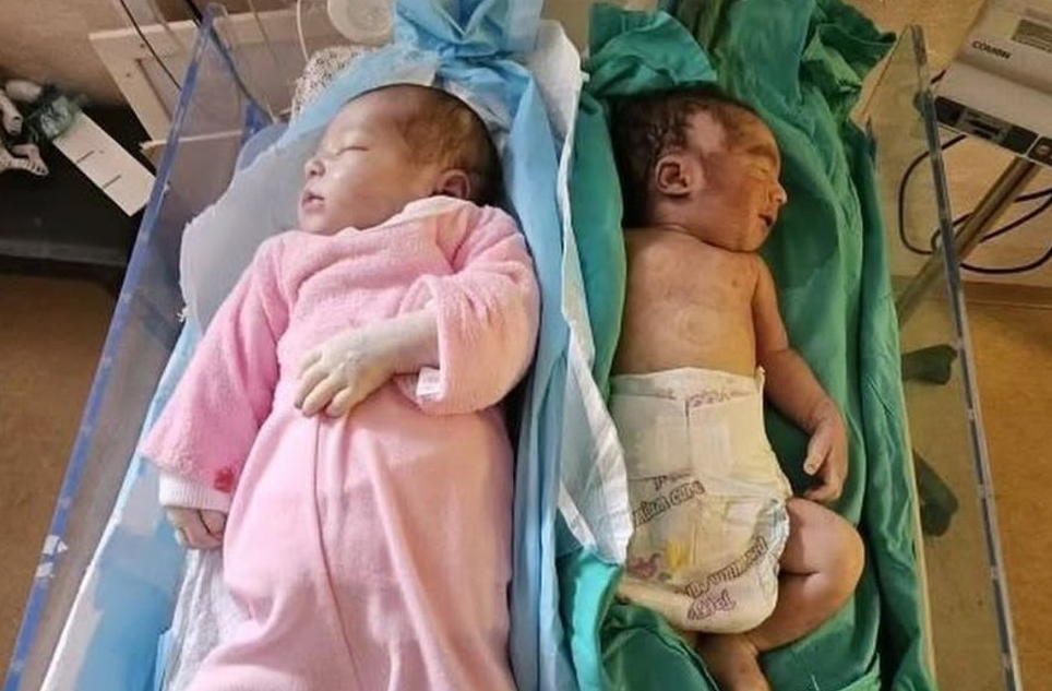 “الأونروا”: الأطفال في قطاع غزة يموتون ببطئ تحت أنظار العالم