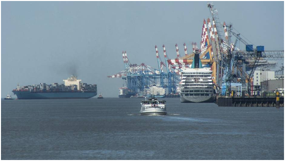 الثروة السمكية تعلن فتح موسم اصطياد الجمبري ابتداء من 1سبتمبر المقبل
