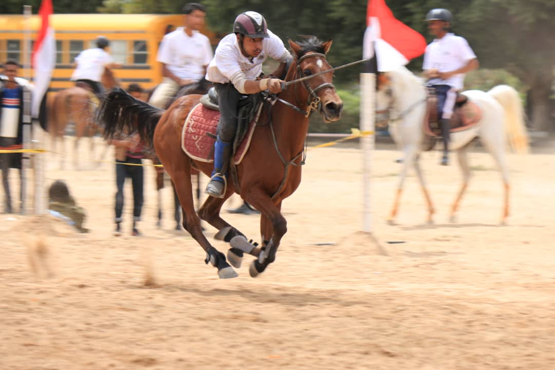 الصعفاني يحرز لقب فئة الناشئين في بطولة الفروسية لالتقاط الأوتاد