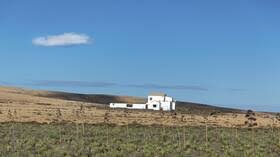 توقعات بحدوث مجاعة قاتلة على الأرض توقعات بحدوث مجاعة قاتلة على الأرض