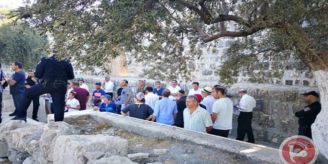 عشرات المستوطنين يقتحمون باحات المسجد الاقصى