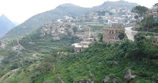 محافظ ريمة يطلع على سير العمل بمستشفى الثلايا