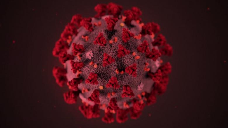 اليمن وليبيا وسوريا: البلدان التي قد ينتشر فيها الفيروس كورونا بشكل خفي اليمن وليبيا وسوريا: البلدان التي قد ينتشر فيها الفيروس كورونا بشكل خفي