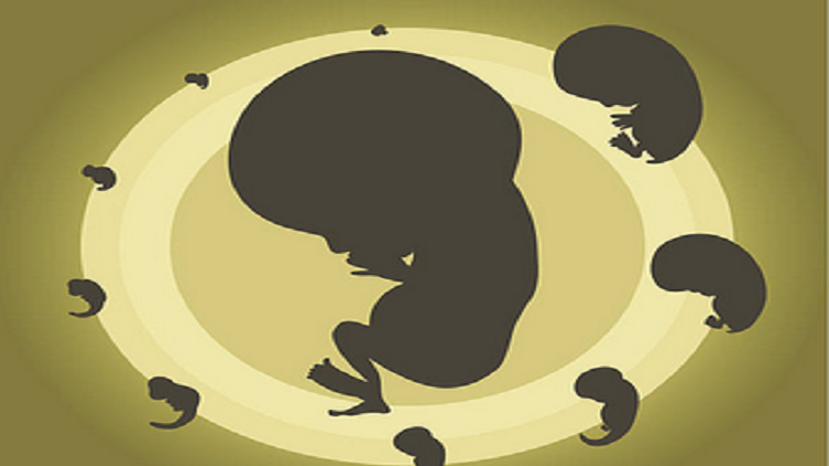 تطوير أجنة اصطناعية قد تعالج أبرز حالات العقم تطوير أجنة اصطناعية قد تعالج أبرز حالات العقم