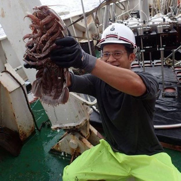 اكتشاف صرصور ضخم يعيش في قاع البحر