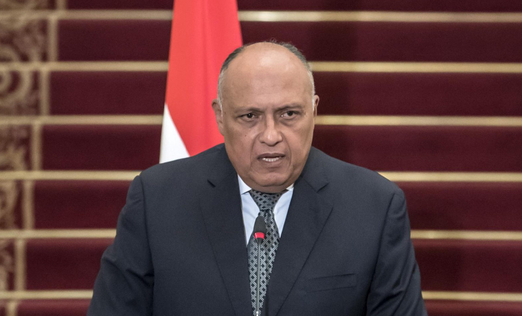 وزير الخارجية المصري يؤكد رفض بلاده للتدخل التركي في سورية