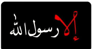 إهانة الأديان تسبب الكراهية.. أول تعليق للأمم المتحدة على الرسوم المسيئة للنبي