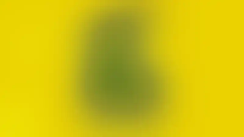 حزب الله ينفي صلته بخلية أمنية متهمة بزعزعة الأمن في لبنان وسوريا
